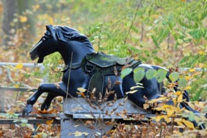 paard-brandweerwagen-kikker