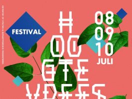 hoogtevrees 2016 deventer