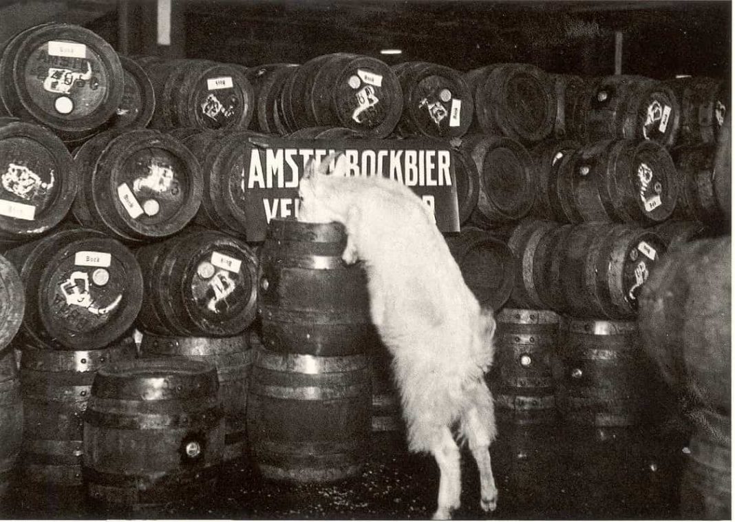 Bockbier