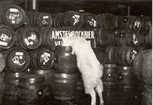 Bockbier