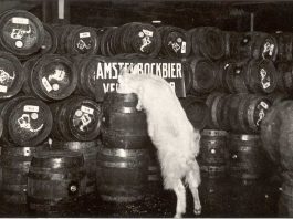 Bockbier