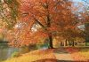 herfstvakantie in Deventer