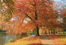 herfstvakantie in Deventer