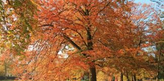 herfstvakantie in Deventer